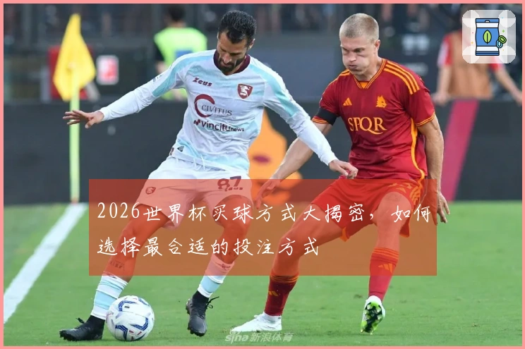 2026世界杯买球方式大揭密，如何选择最合适的投注方式