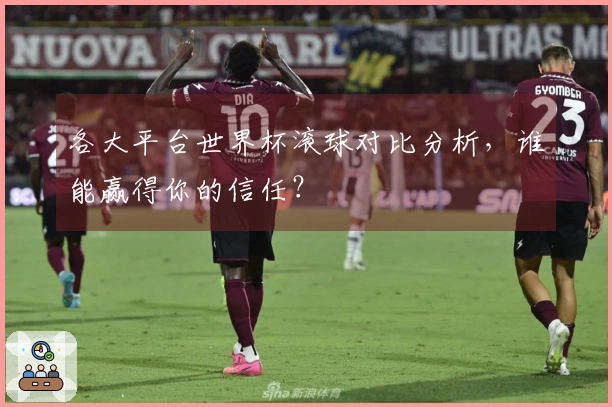 各大平台世界杯滚球对比分析，谁能赢得你的信任？