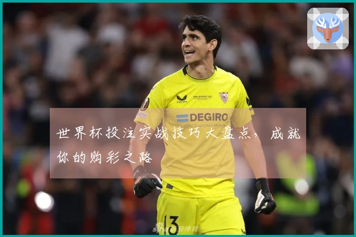 世界杯投注实战技巧大盘点，成就你的购彩之路