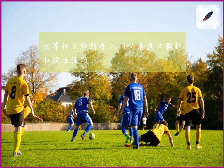 世界杯买球新手入门必看盘口解析和投注技巧