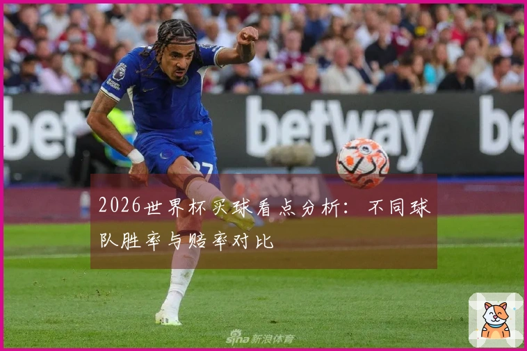2026世界杯买球看点分析：不同球队胜率与赔率对比