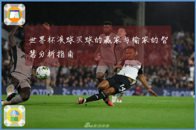 世界杯滚球买球的赢家与输家的智慧分析指南