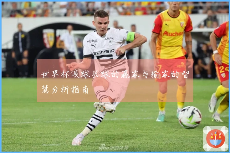 世界杯滚球买球的赢家与输家的智慧分析指南